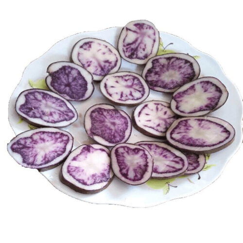 魅力会东:美食与土特产的宝藏之地插图6 魅力会东:美食与土特产的宝藏之地插图6