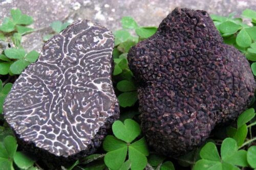 魅力会东:美食与土特产的宝藏之地插图4 魅力会东:美食与土特产的宝藏之地插图4