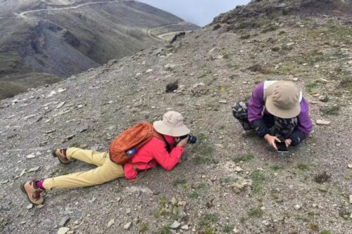 沪滇合作开展昆明禾本科植物资源调查插图2 沪滇合作开展昆明禾本科植物资源调查插图2