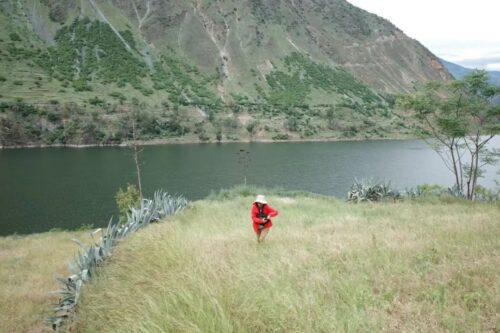 沪滇合作开展昆明禾本科植物资源调查插图3 沪滇合作开展昆明禾本科植物资源调查插图3