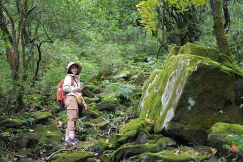 沪滇合作开展昆明禾本科植物资源调查插图4 沪滇合作开展昆明禾本科植物资源调查插图4