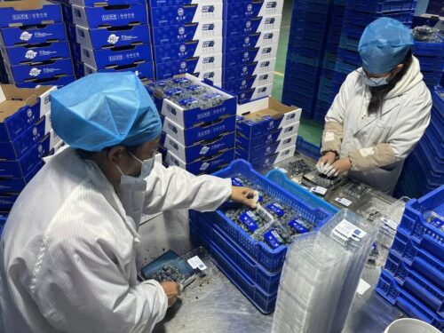 会东县：做强特色农业，蓝莓与华山松引领产业升级插图4