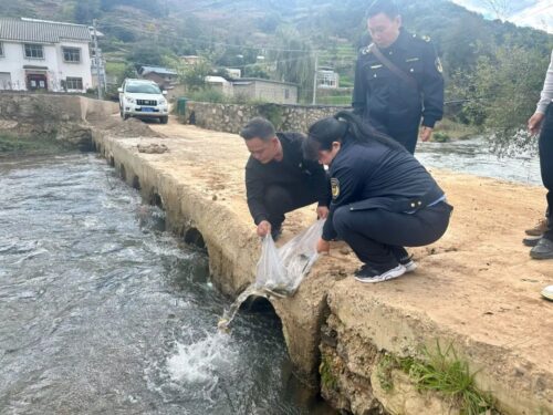 会东锦盛家庭农场污染河流致鱼死,增殖放流赔偿并加强监管-会东网