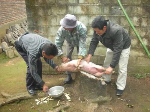 舌尖上的会东：领略十大特色美食的魅力插图10