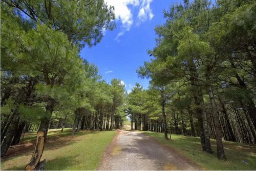 会东县堵格镇:璀璨明珠绽光芒插图1 会东县堵格镇:璀璨明珠绽光芒插图1