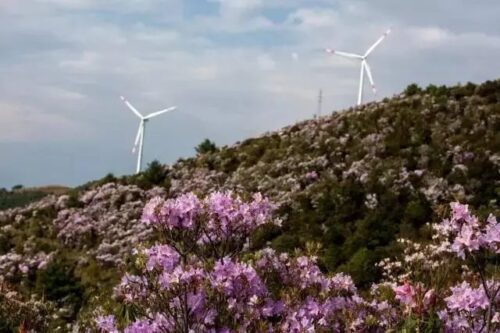 会东:川滇明珠的璀璨魅力插图3 会东:川滇明珠的璀璨魅力插图3