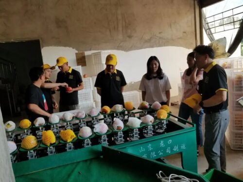 川滇明珠:会东的自然与人文瑰宝插图2 川滇明珠:会东的自然与人文瑰宝插图2