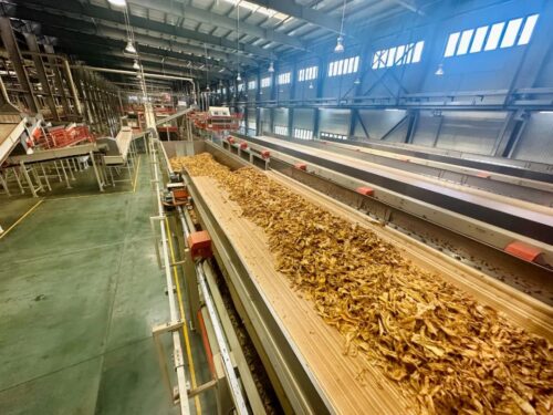 会东复烤厂2024烤季生产启动:聚焦质量提升与数字化转型,助力烟草产业链升级插图2 会东复烤厂2024烤季生产启动:聚焦质量提升与数字化转型,助力烟草产业链升级插图2