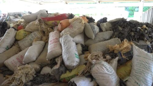 会东县烟草专卖局：废旧地膜回收，助力绿色烟草农业发展插图1