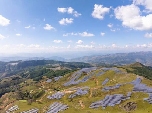 会东县：清洁能源引领绿色发展，蓝莓产业助力乡村振兴插图5