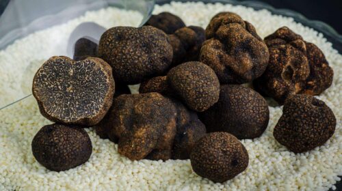 魅力会东:美食与土特产的宝藏之地插图7 魅力会东:美食与土特产的宝藏之地插图7