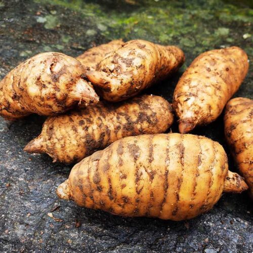 舌尖上的雷波县:美食与土特产的盛宴插图7 舌尖上的雷波县:美食与土特产的盛宴插图7