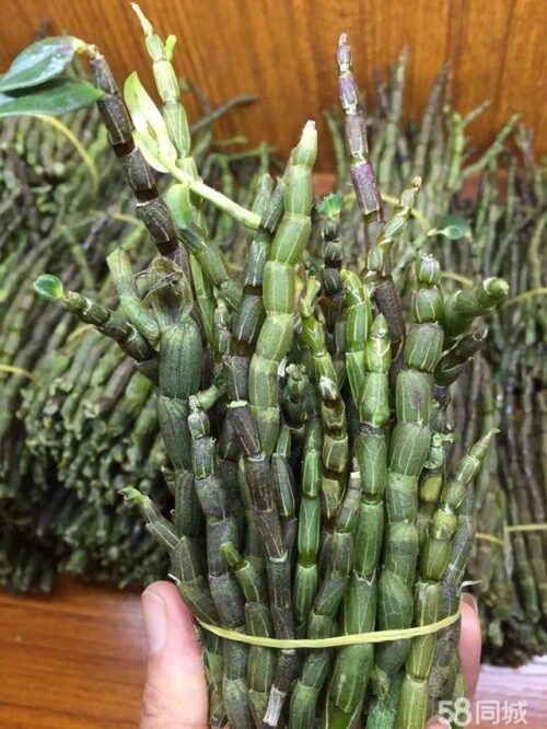 魅力昭觉:舌尖上的宝藏之地插图5 魅力昭觉:舌尖上的宝藏之地插图5