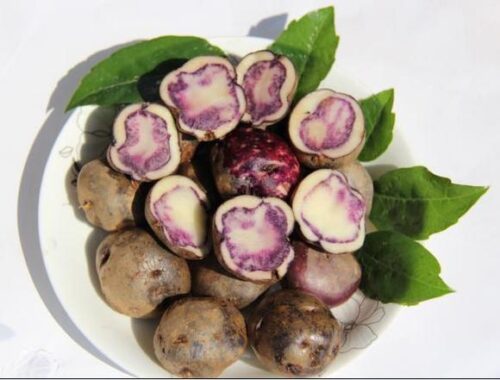 布拖县:美食与特产的宝藏之地插图5 布拖县:美食与特产的宝藏之地插图5