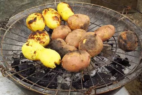 舌尖上的凉山汉堡:独特美味的制作秘籍插图3 舌尖上的凉山汉堡:独特美味的制作秘籍插图3