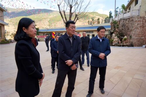 会东华山松:生态与经济共舞的绿色宝藏插图1 会东华山松:生态与经济共舞的绿色宝藏插图1