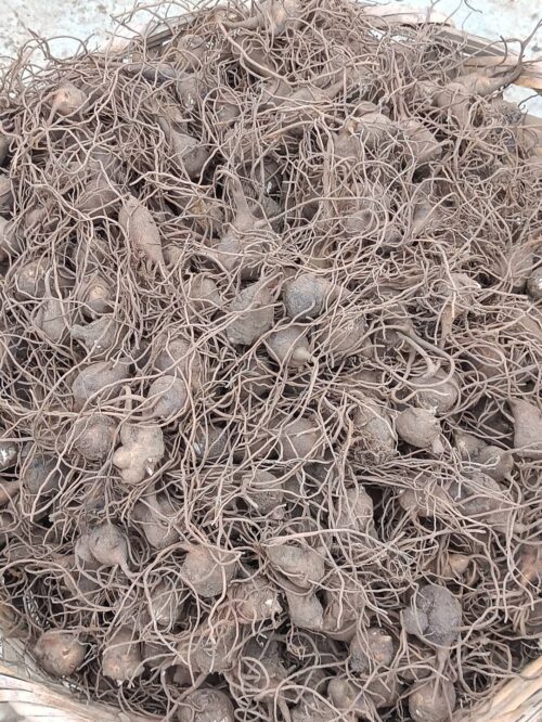 布拖县:美食与特产的宝藏之地插图4 布拖县:美食与特产的宝藏之地插图4