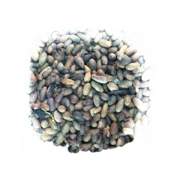 盐源美食:舌尖上的宝藏之地插图9 盐源美食:舌尖上的宝藏之地插图9