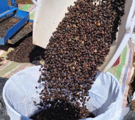 凉山州:城乡融合与特色产业双轮驱动,绘就绿色发展新篇章-会东网