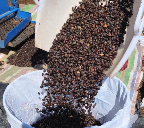 凉山州:城乡融合与特色产业双轮驱动,绘就绿色发展新篇章插图 凉山州:城乡融合与特色产业双轮驱动,绘就绿色发展新篇章插图