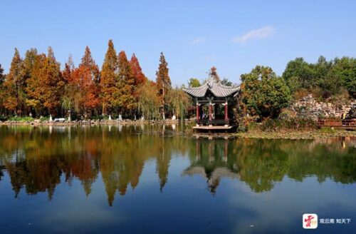 昆明冬日暖阳下，丰泽源植物园色彩斑斓吸引游人插图7