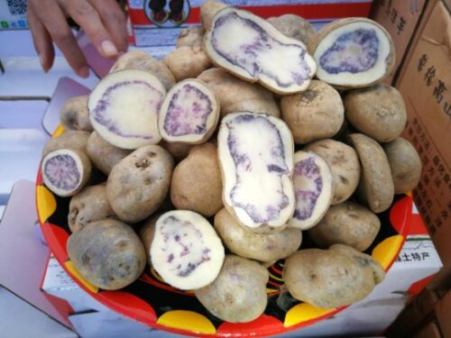 普格:美食与特产的宝藏之地插图1 普格:美食与特产的宝藏之地插图1