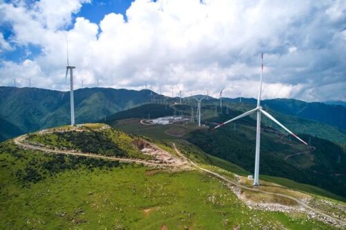 会东县：清洁能源引领绿色发展，蓝莓产业助力乡村振兴插图4