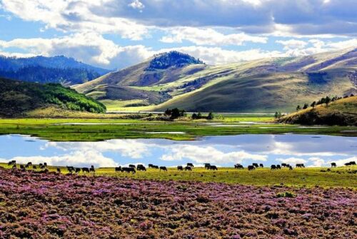 凉山州文旅季启幕:五条精品线路邀您共赏“冬季暖阳·凉山不凉”插图6 凉山州文旅季启幕:五条精品线路邀您共赏“冬季暖阳·凉山不凉”插图6