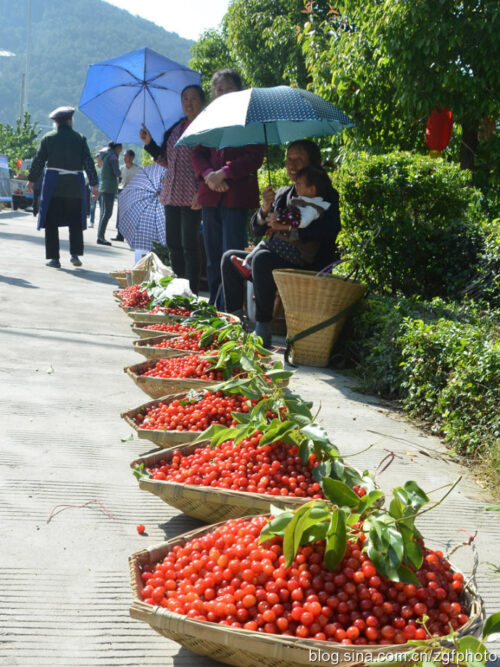 冕宁:美食与特产的宝藏之地插图6 冕宁:美食与特产的宝藏之地插图6