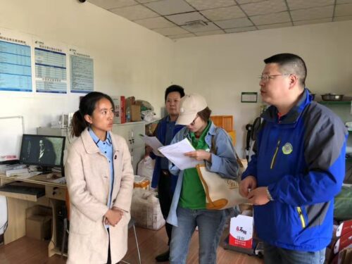 会东华山松:绿色宝藏的崛起之路插图4 会东华山松:绿色宝藏的崛起之路插图4