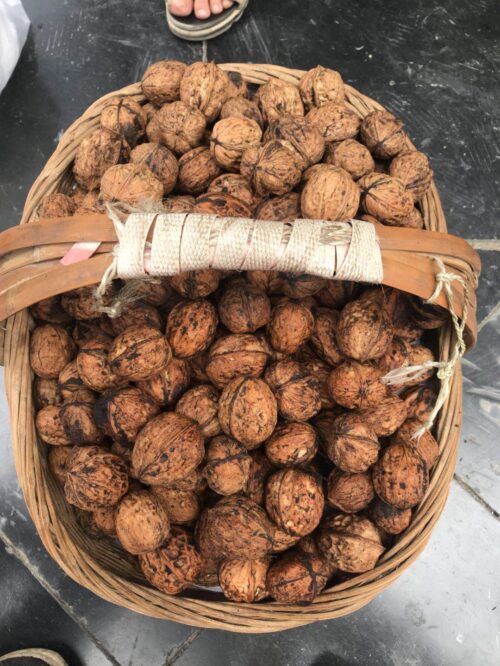 魅力金阳:美食与特产的宝藏之地插图8 魅力金阳:美食与特产的宝藏之地插图8