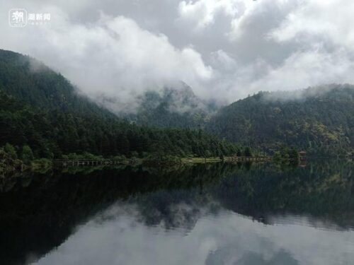 会东县蓝莓产业：科技引领，农文旅融合促发展插图4