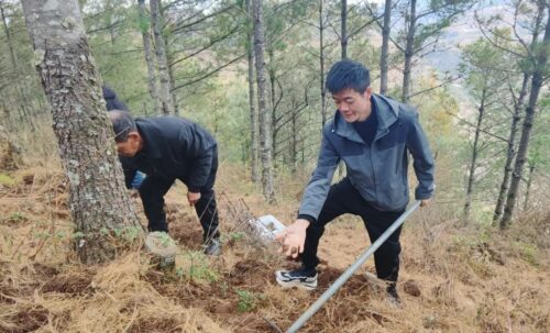 会东松露：林中黑钻石的丰收季节插图1