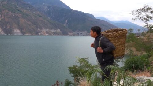 鲁吉镇释迦果种植：荒山变果园，特色农业引领乡村振兴插图1