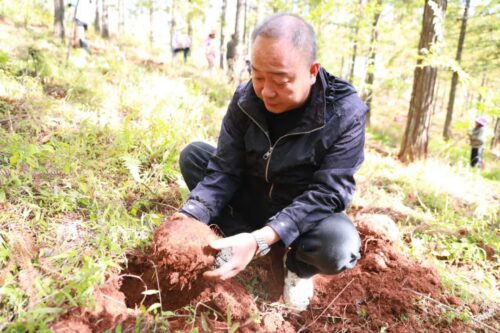 江西街乡“林下+”模式喜迎魔芋丰收,助力群众增收插图4 江西街乡“林下+”模式喜迎魔芋丰收,助力群众增收插图4