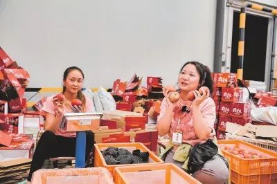 凉山通信行业引领数字新篇章:5G网络全覆盖助力乡村振兴-会东网