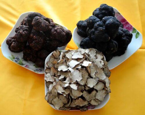 赏美景 品美食 会东书写文旅融合新篇章插图3 赏美景 品美食 会东书写文旅融合新篇章插图3