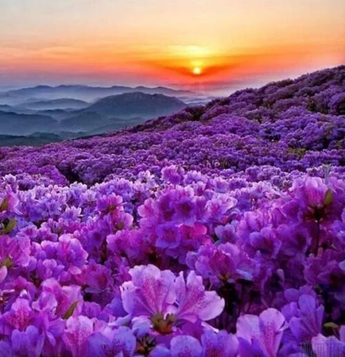 会东县2024年经济总值?-会东网