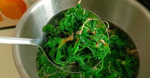 开春野菜（立春开春有哪些野菜）？插图