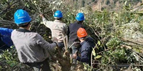 会东县多措并举筑牢森林草原防火安全屏障插图14 会东县多措并举筑牢森林草原防火安全屏障插图14