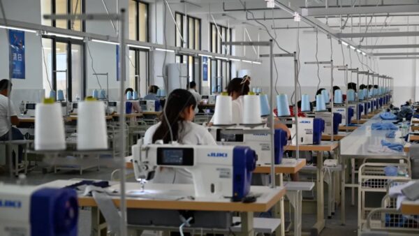 回首 2024 成绩斐然,会东擘画 2025 经济发展新蓝图-会东网