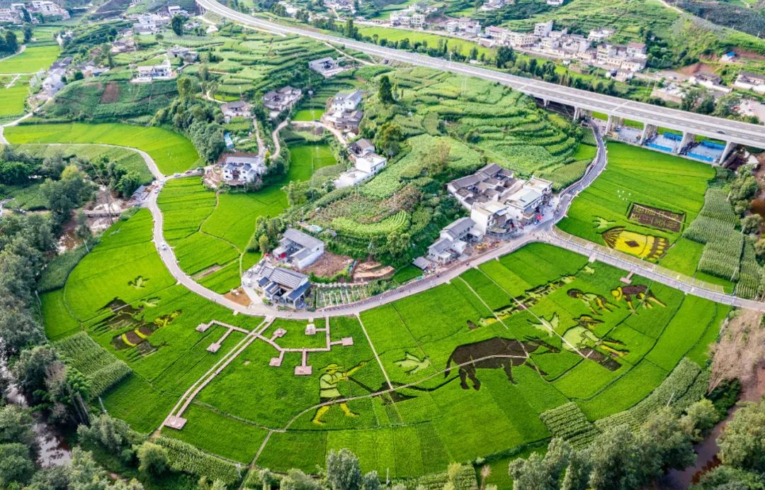 回首 2024 成绩斐然,会东擘画 2025 经济发展新蓝图插图5 回首 2024 成绩斐然,会东擘画 2025 经济发展新蓝图插图5