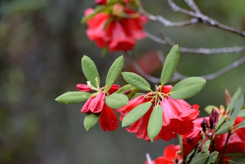 会东：解锁小众宝藏地，邂逅绝美旅行插图6