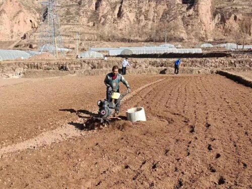 立春春耕注意事项(立春春耕有哪些注意事项)?插图1 立春春耕注意事项(立春春耕有哪些注意事项)?插图1