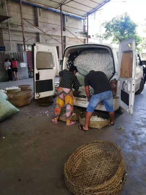 会东企业：电商赋能，逐浪新经济插图