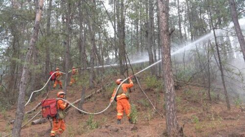 2025 启新程!四川凉山森林消防新装备实战研训火力全开插图3 2025 启新程!四川凉山森林消防新装备实战研训火力全开插图3