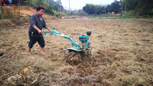 立春春耕注意事项(立春春耕有哪些注意事项)?插图8 立春春耕注意事项(立春春耕有哪些注意事项)?插图8