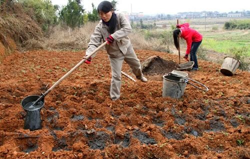 立春春耕注意事项(立春春耕有哪些注意事项)?插图2 立春春耕注意事项(立春春耕有哪些注意事项)?插图2