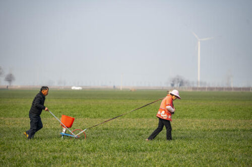 立春春耕注意事项(立春春耕有哪些注意事项)?插图 立春春耕注意事项(立春春耕有哪些注意事项)?插图
