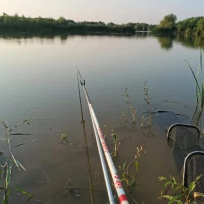 开春怎样钓鱼（立春开春怎么钓鱼）？-会东网